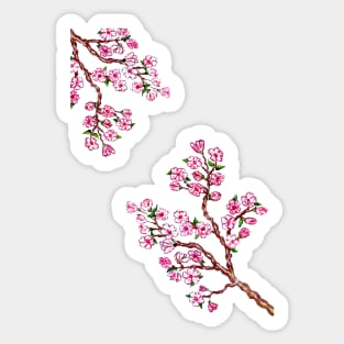 Sakura Branches Painting Sticker